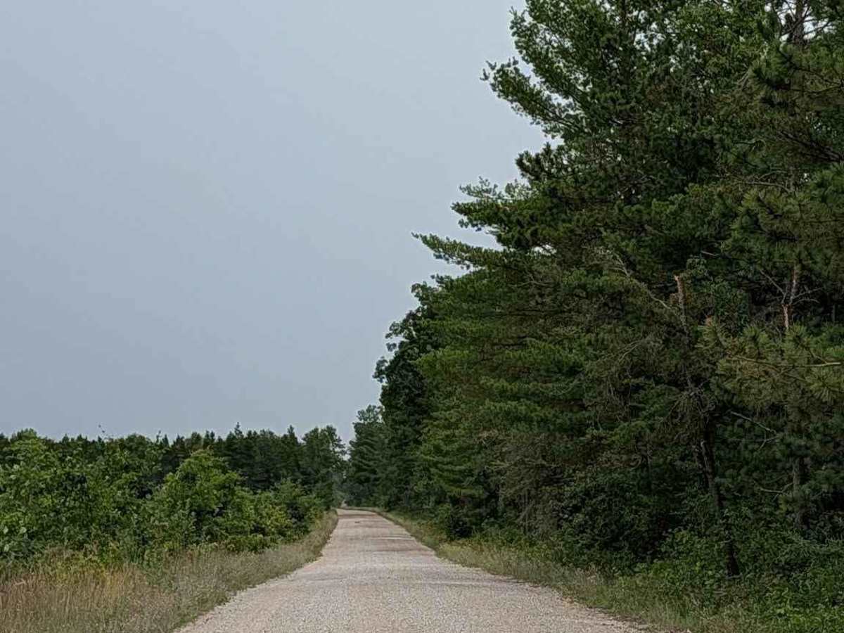 Bisonette Road photo 2