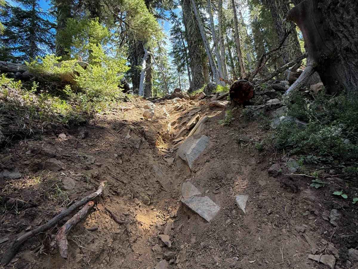 Sawtooth Trail  photo 4