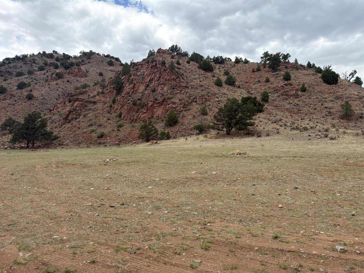 BLM 6020 photo 4