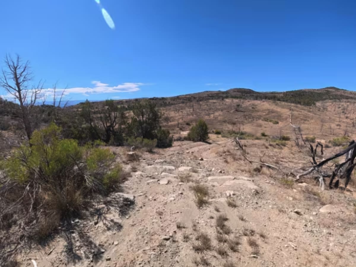 BLM 286C photo 3