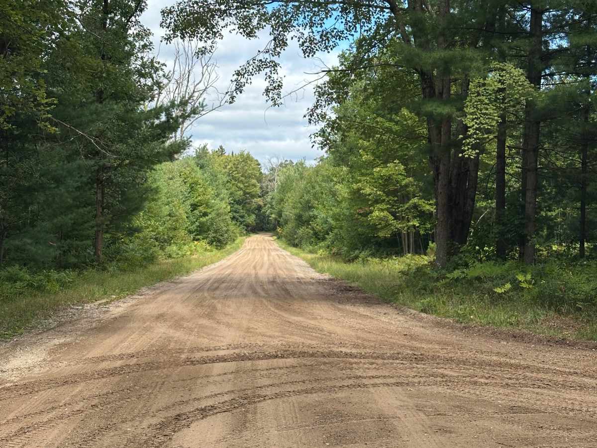 Dorr Road photo 6