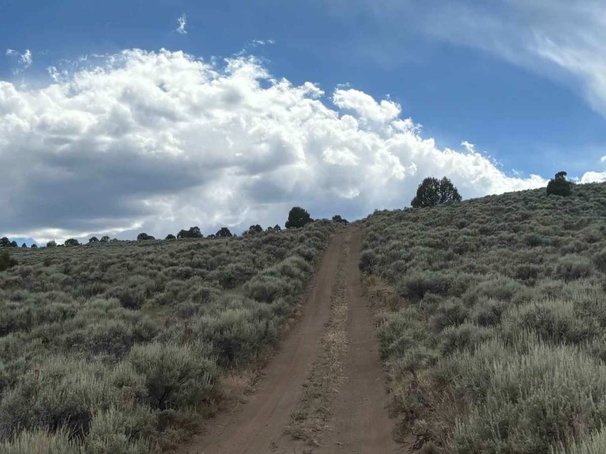 BLM 8465 photo 5