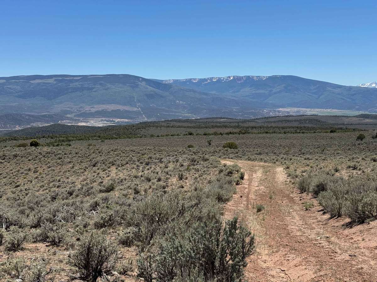 BLM 8486 photo 4