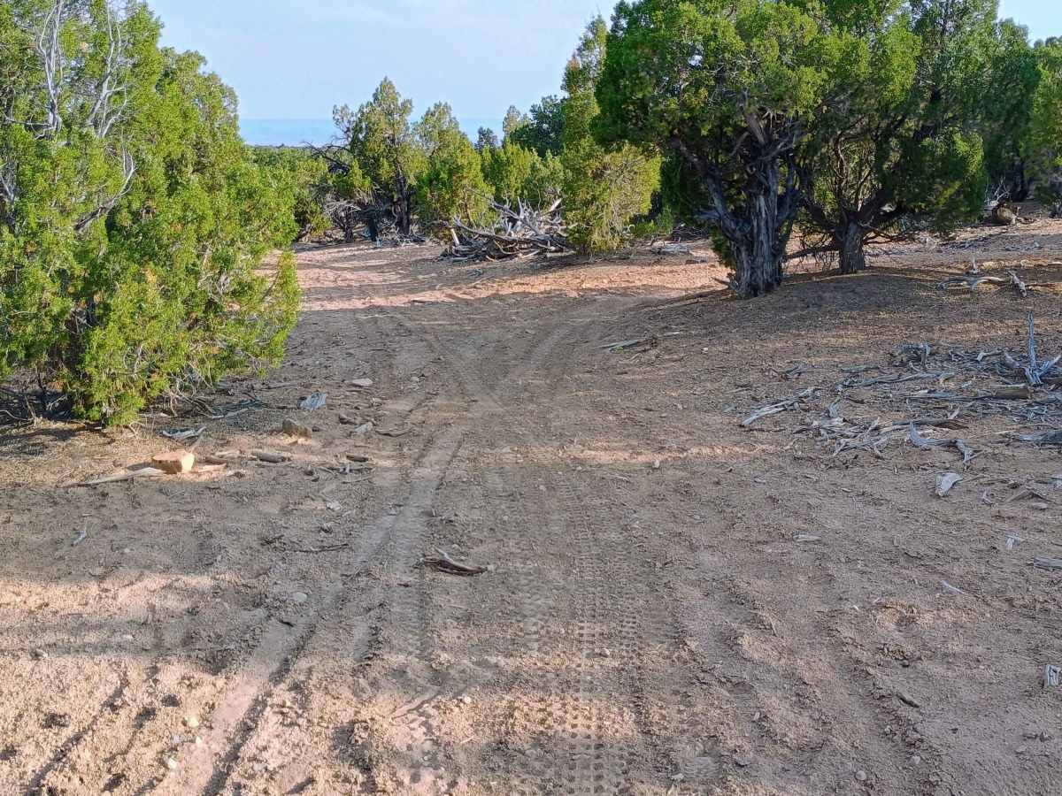 Deadman Canyon Loop photo 6