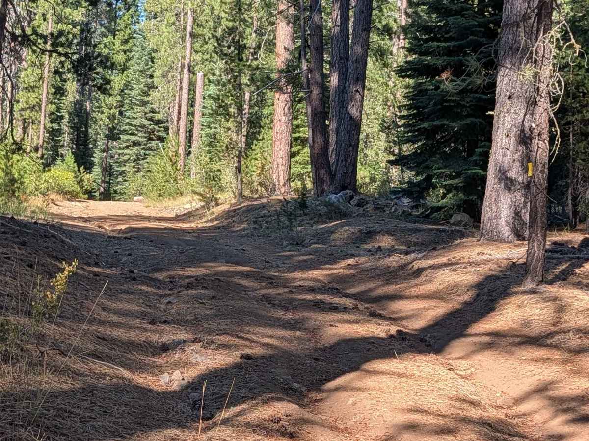 Rap Lost Iron Well - FS 43N35 trail photo
