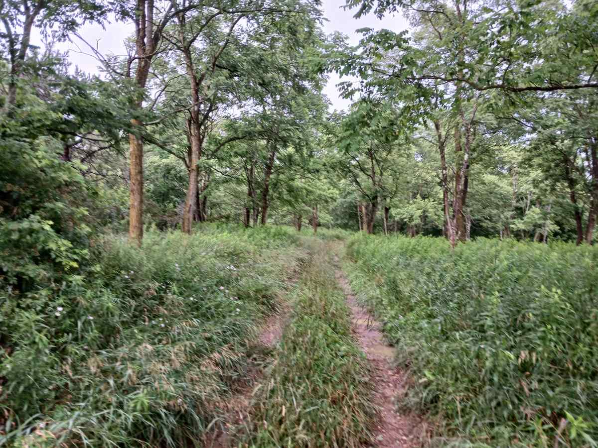 Trail 3E - Rock Run Recreation Area photo 6