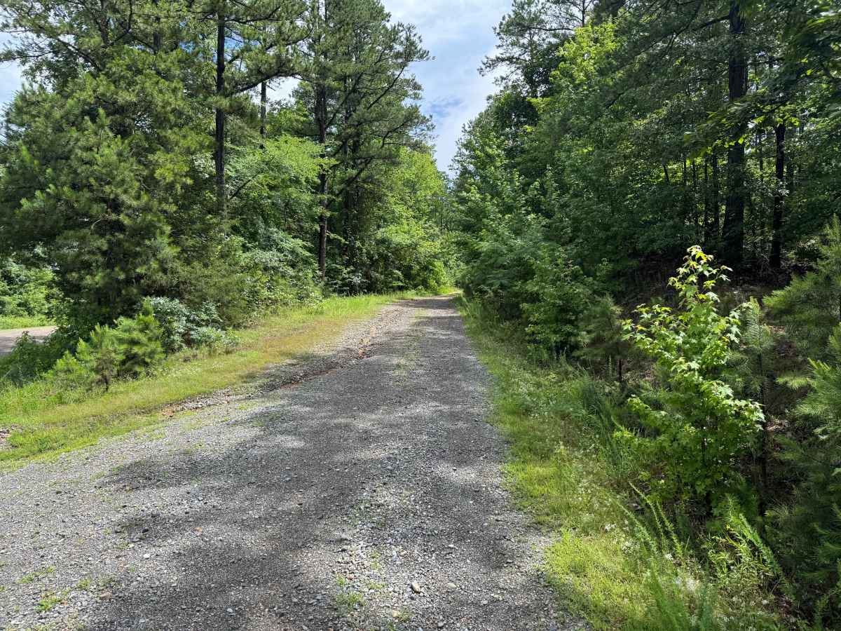 Hamilton Creek trail photo