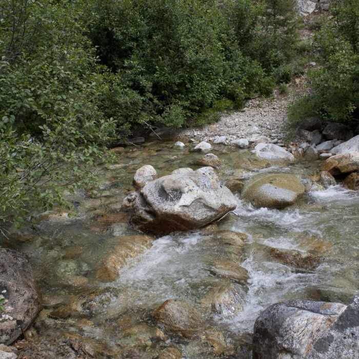 Near Middle Fork of the Boise River, Mattingly Creek and Divide