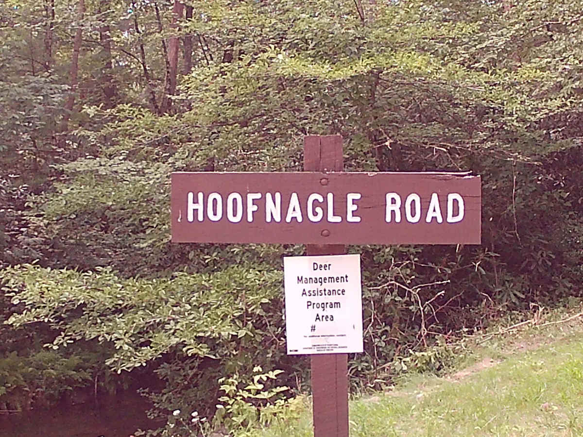 Hoofnagle Road trail photo