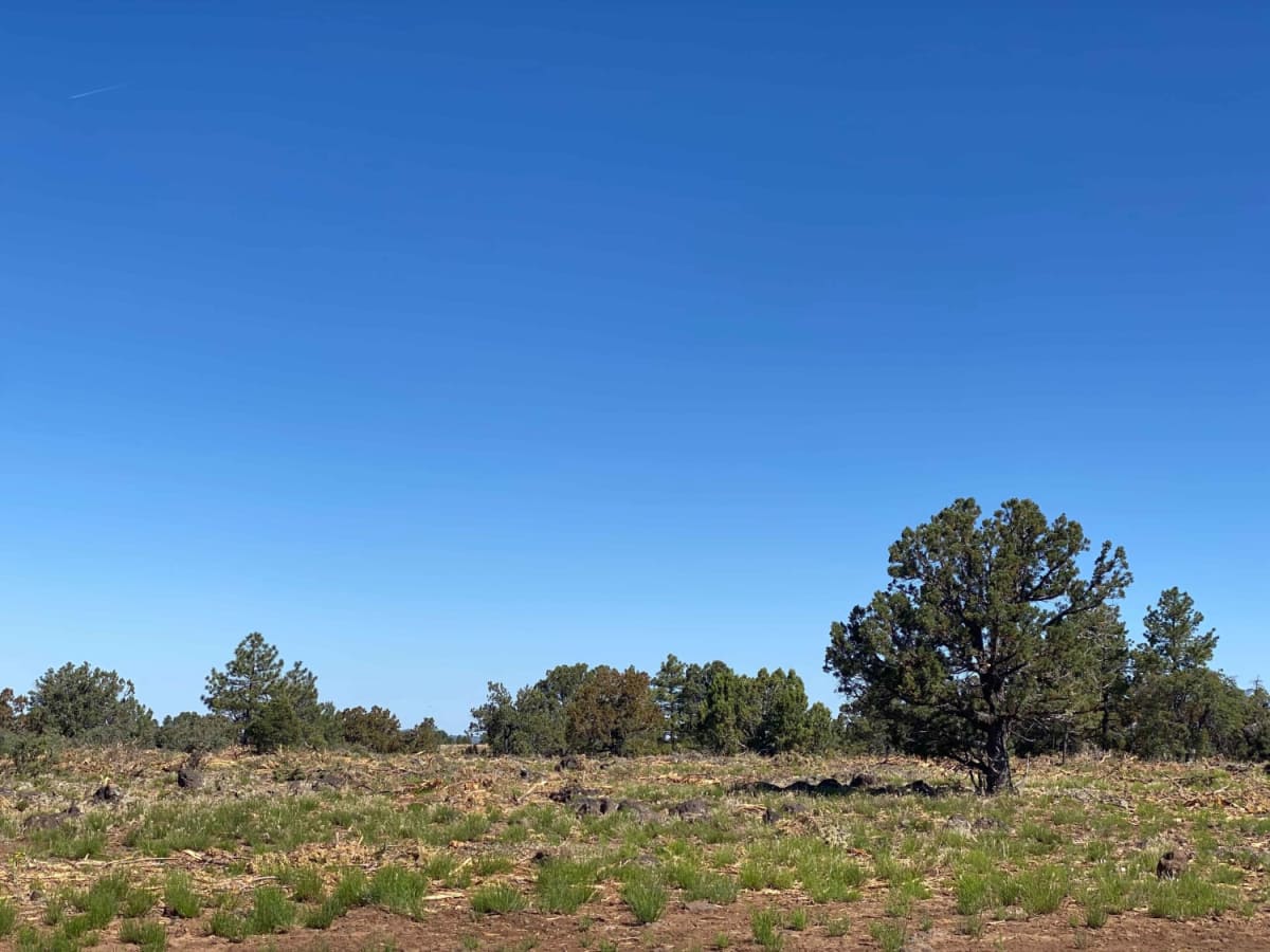 504 to Pole Line trail photo