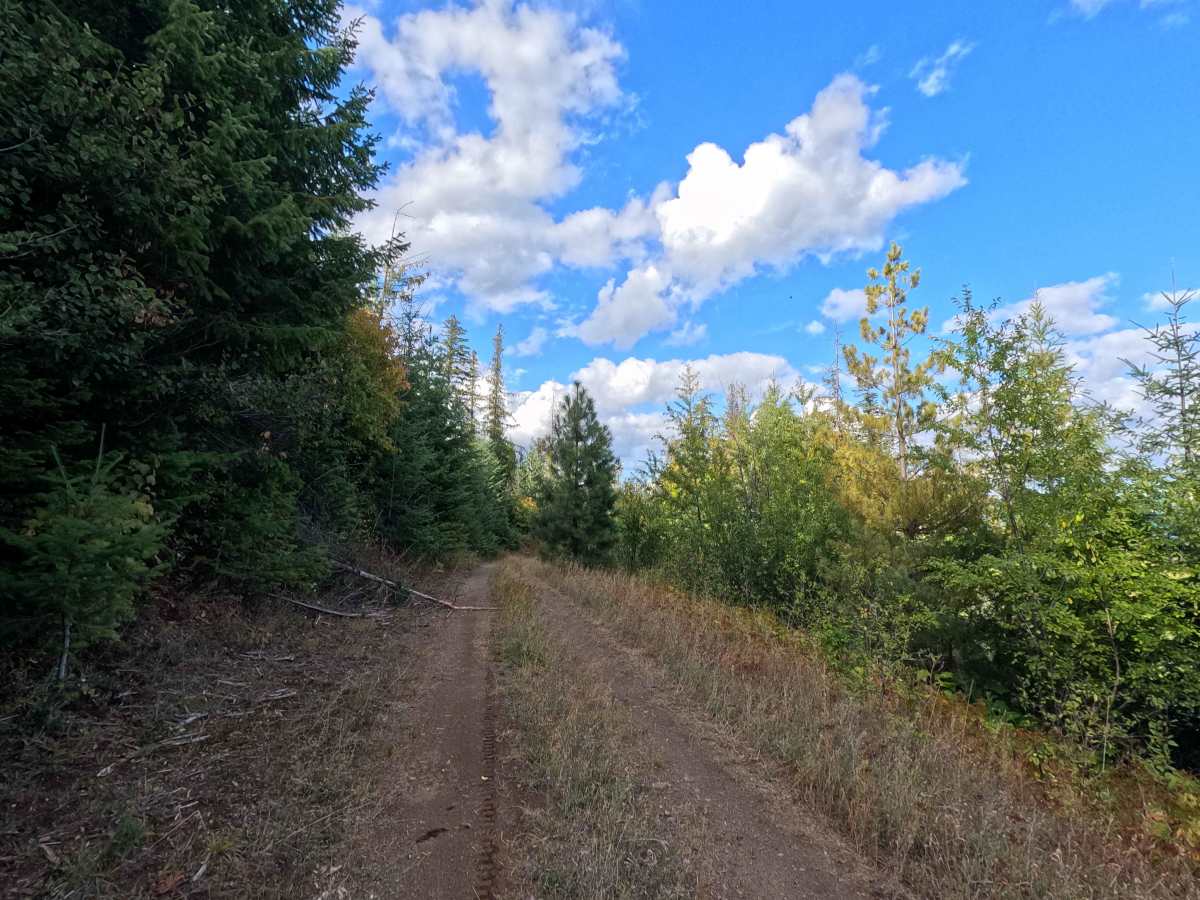Ole Creek P - FS 1092P photo 3
