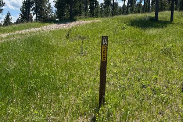 Forbes Gulch Br 1a - FSR 169.1A