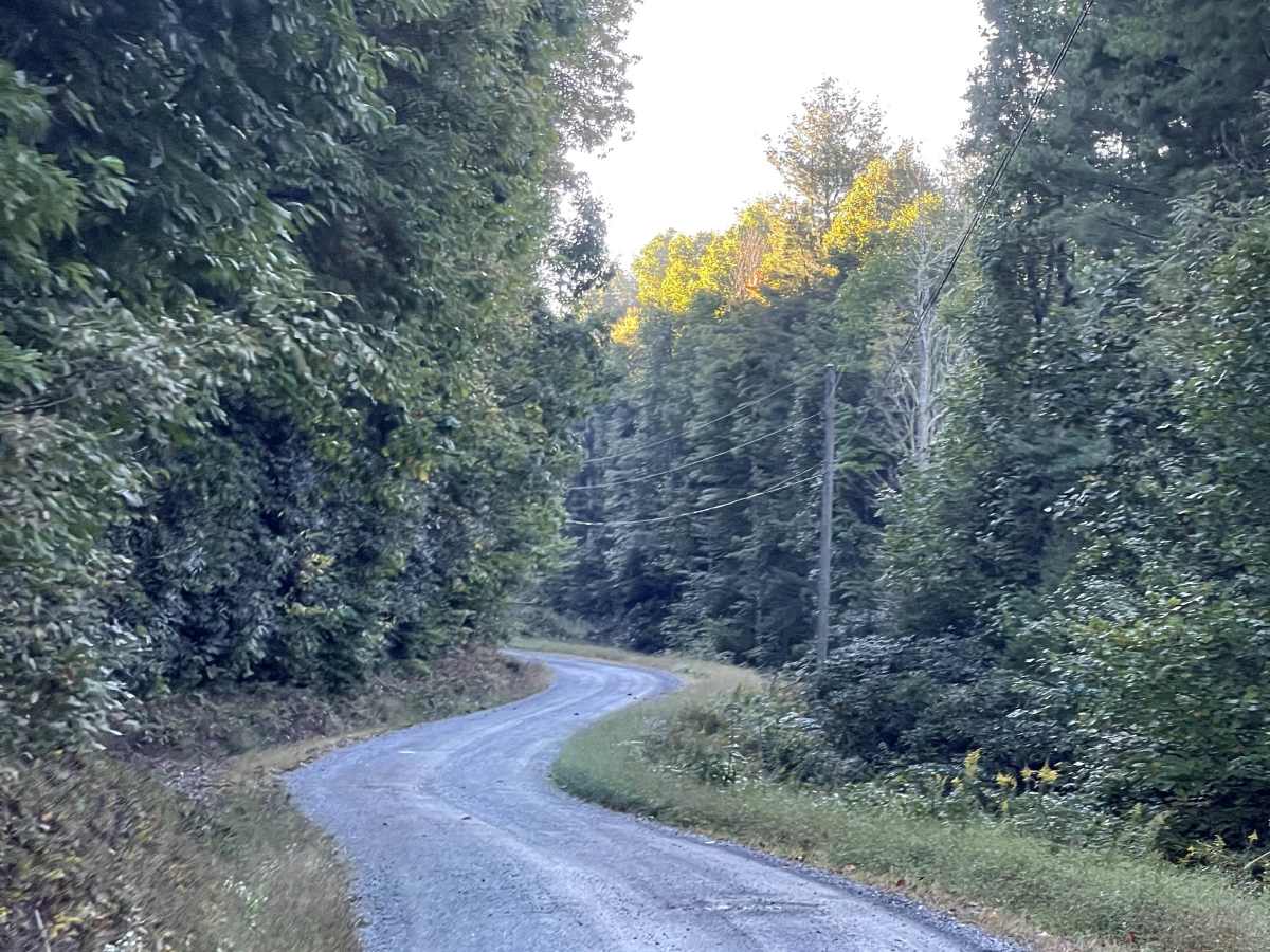 Rominger Road photo 4