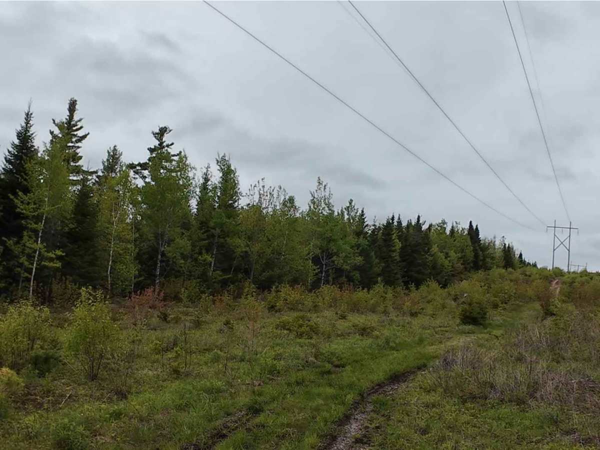 Prosser Brook Powerline Trail  photo 4