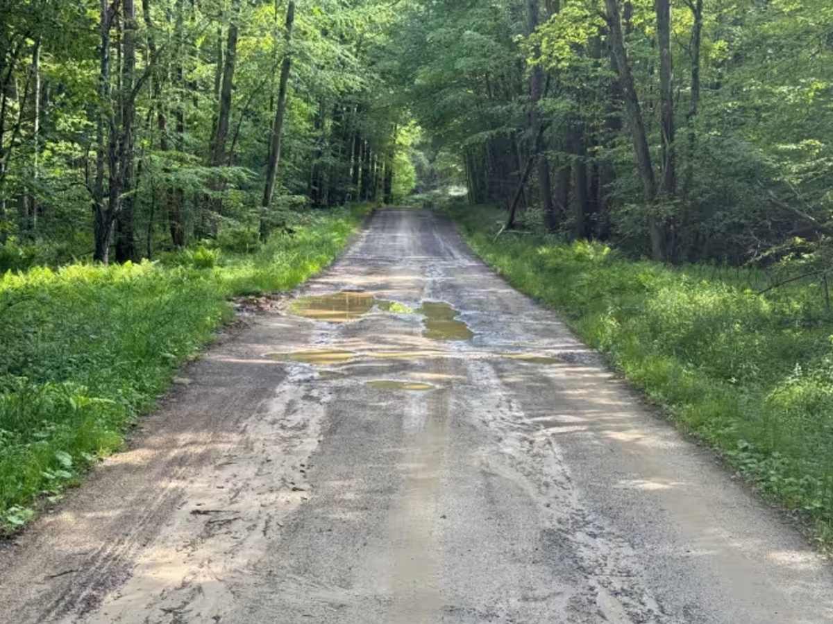 Adamson - FS 127 trail photo