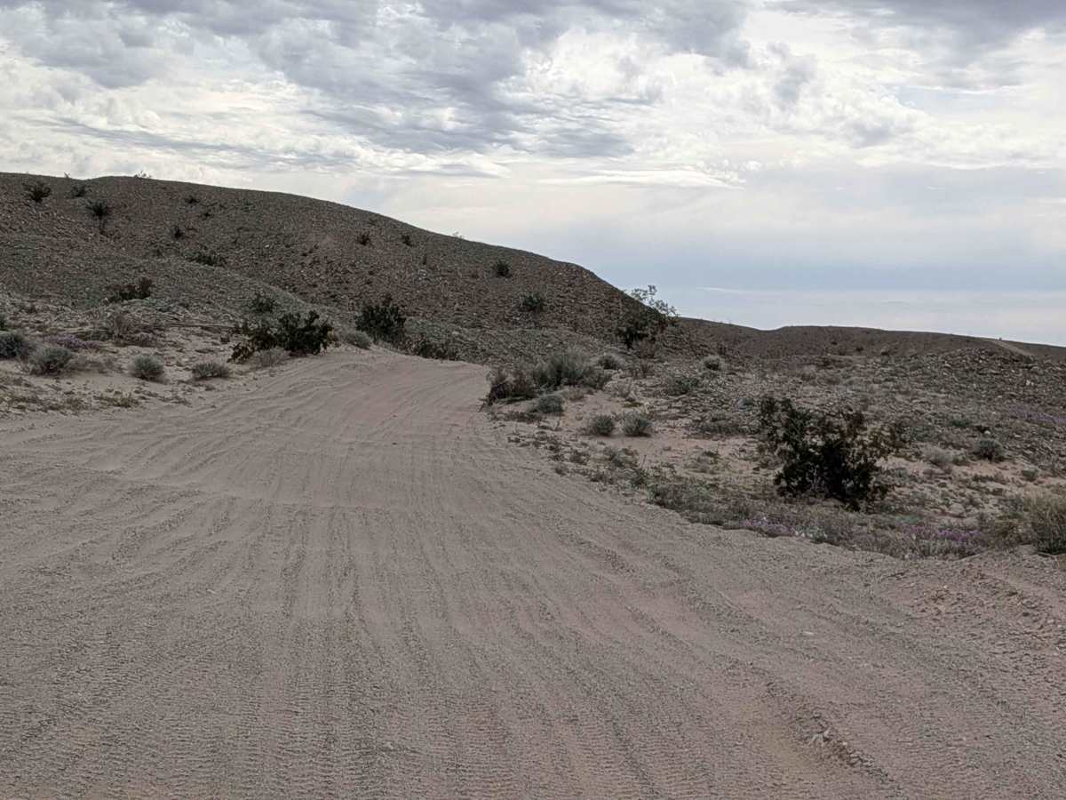 EC1220 photo 5