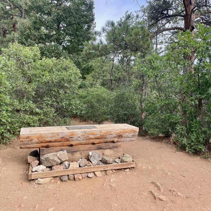 Near Colorado Trail: Indian Creek Alternate