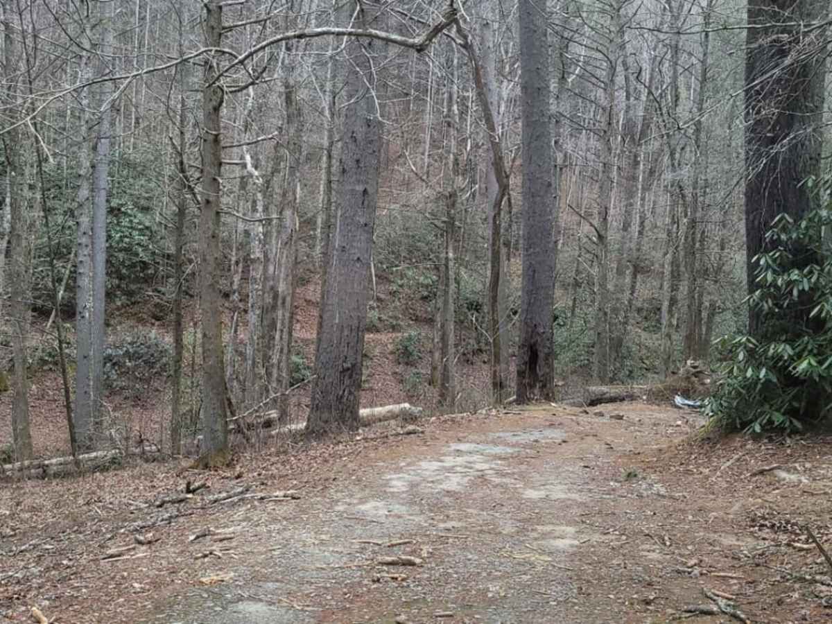 Tray Mountain Trail photo 2