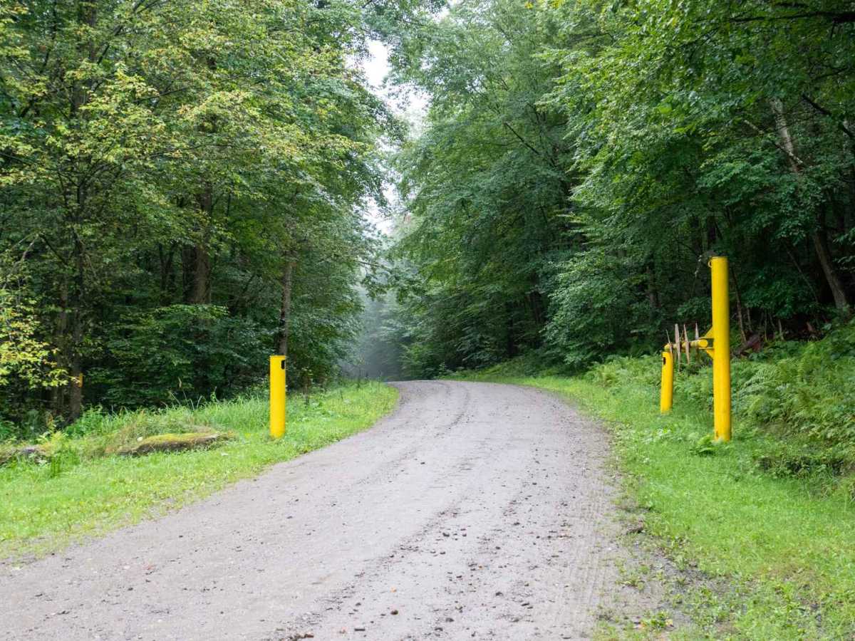 Little Rock City Forest Road photo 5