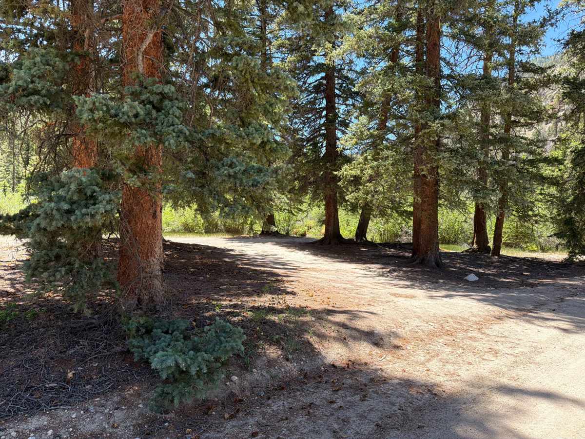 Old Chalk Creek Road photo 6
