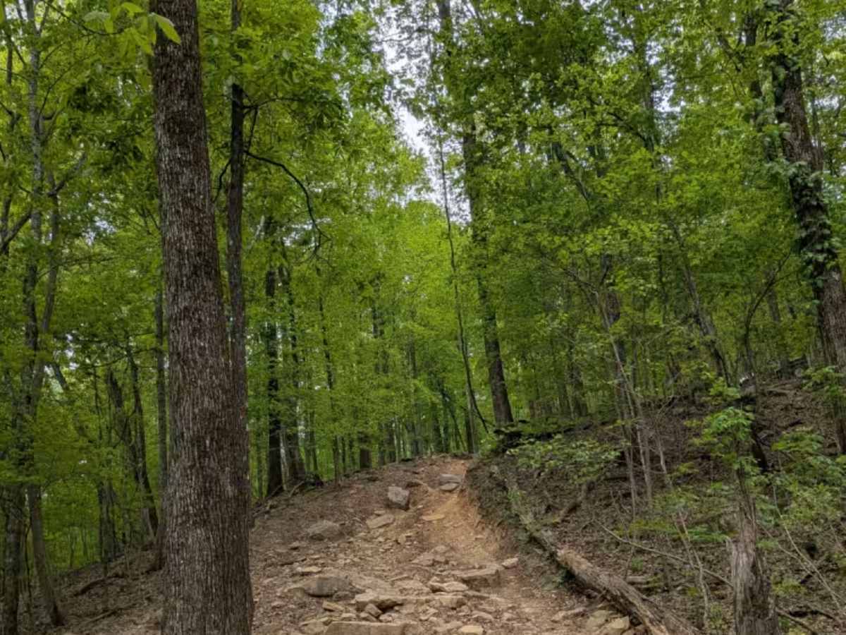 Trail 90 photo 2