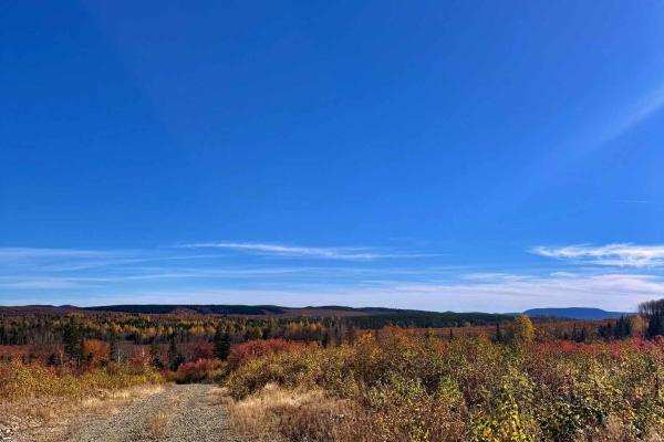 Upsalquitch Ridge Loop