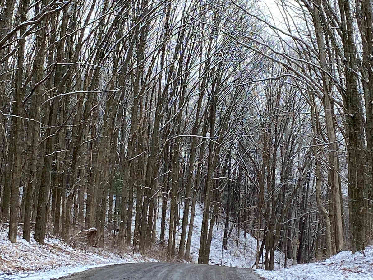 Knowlton Road  photo 5