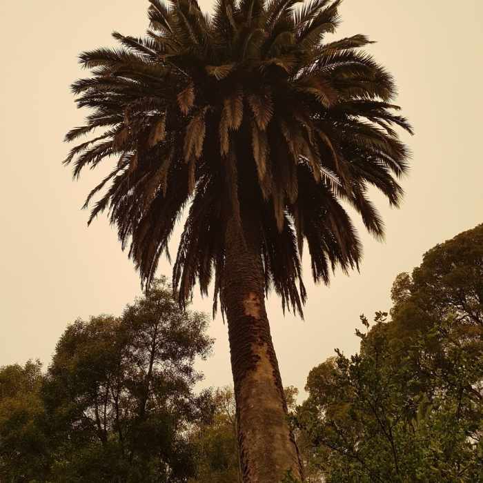 Near Alvarado Park Trail