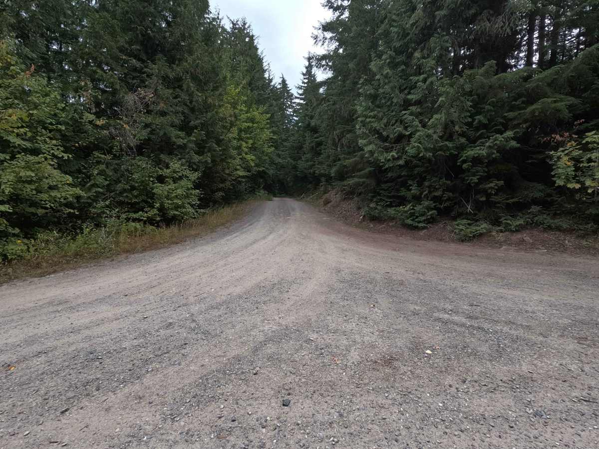 North Skookum Lake Road - FS 5000128 trail photo