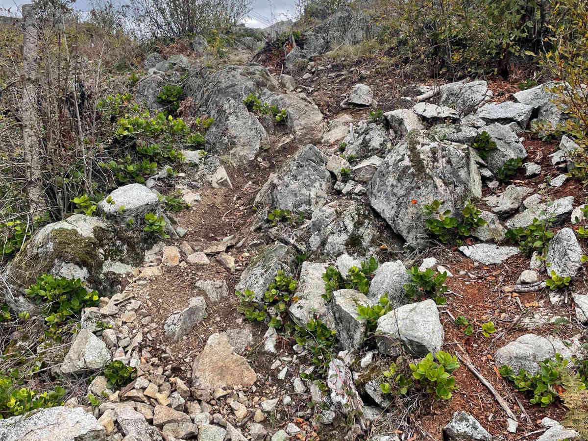 Got Balance? trail photo