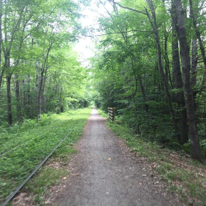 Near Cotton Valley Rail Trail