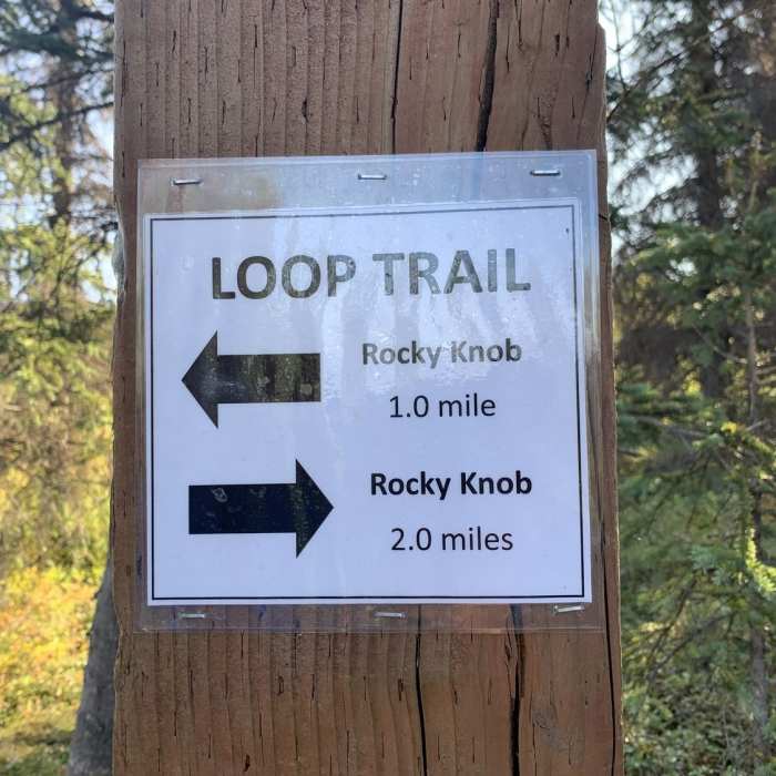 Near Original Trail up K'esugi Ken Curry Ridge Trail