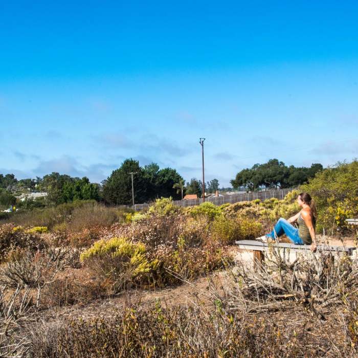 Near Nipomo Native Garden Loop Near Nipomo Native Garden Loop
