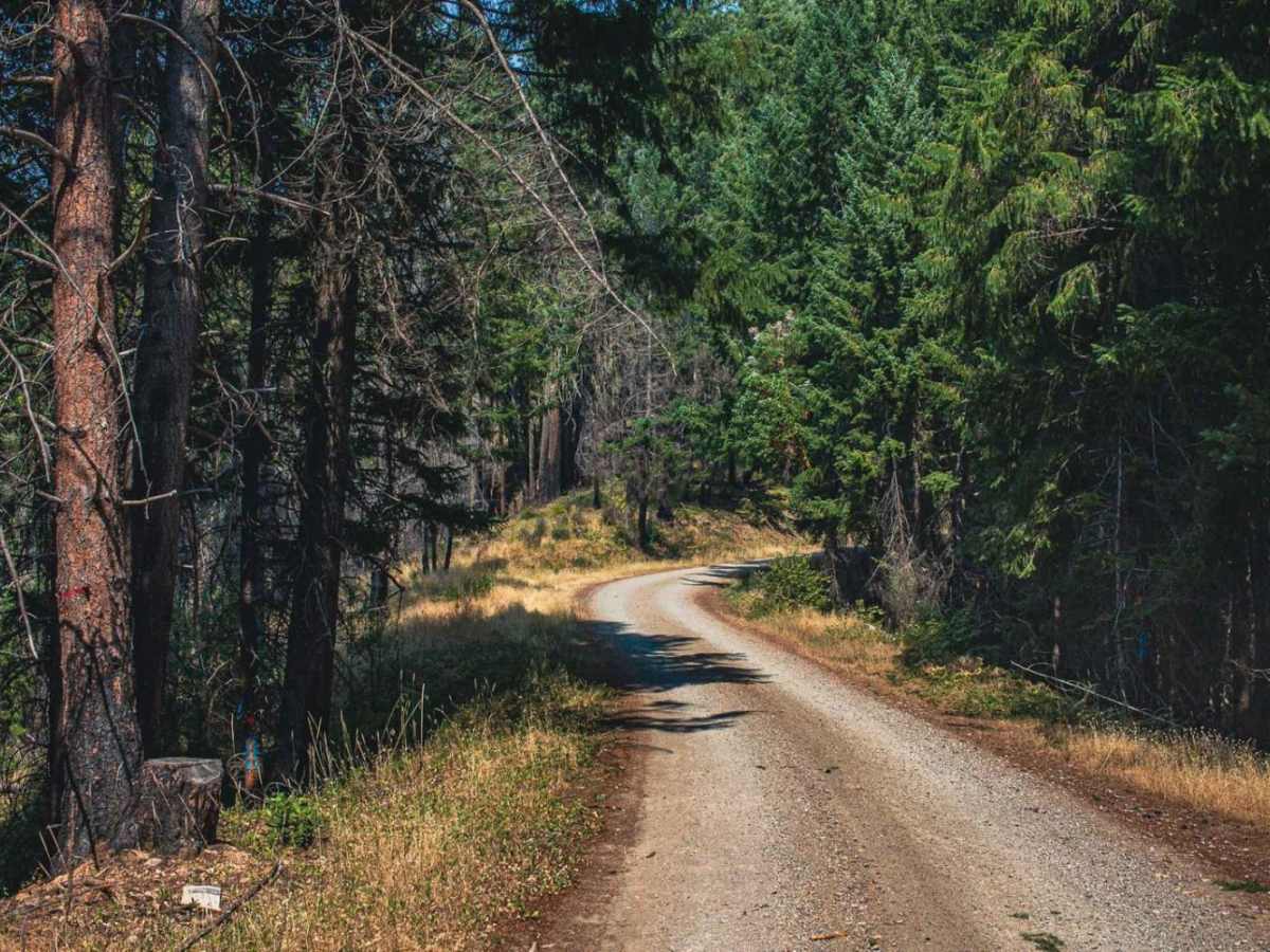 Grassy Ranch - Single Creek photo 4