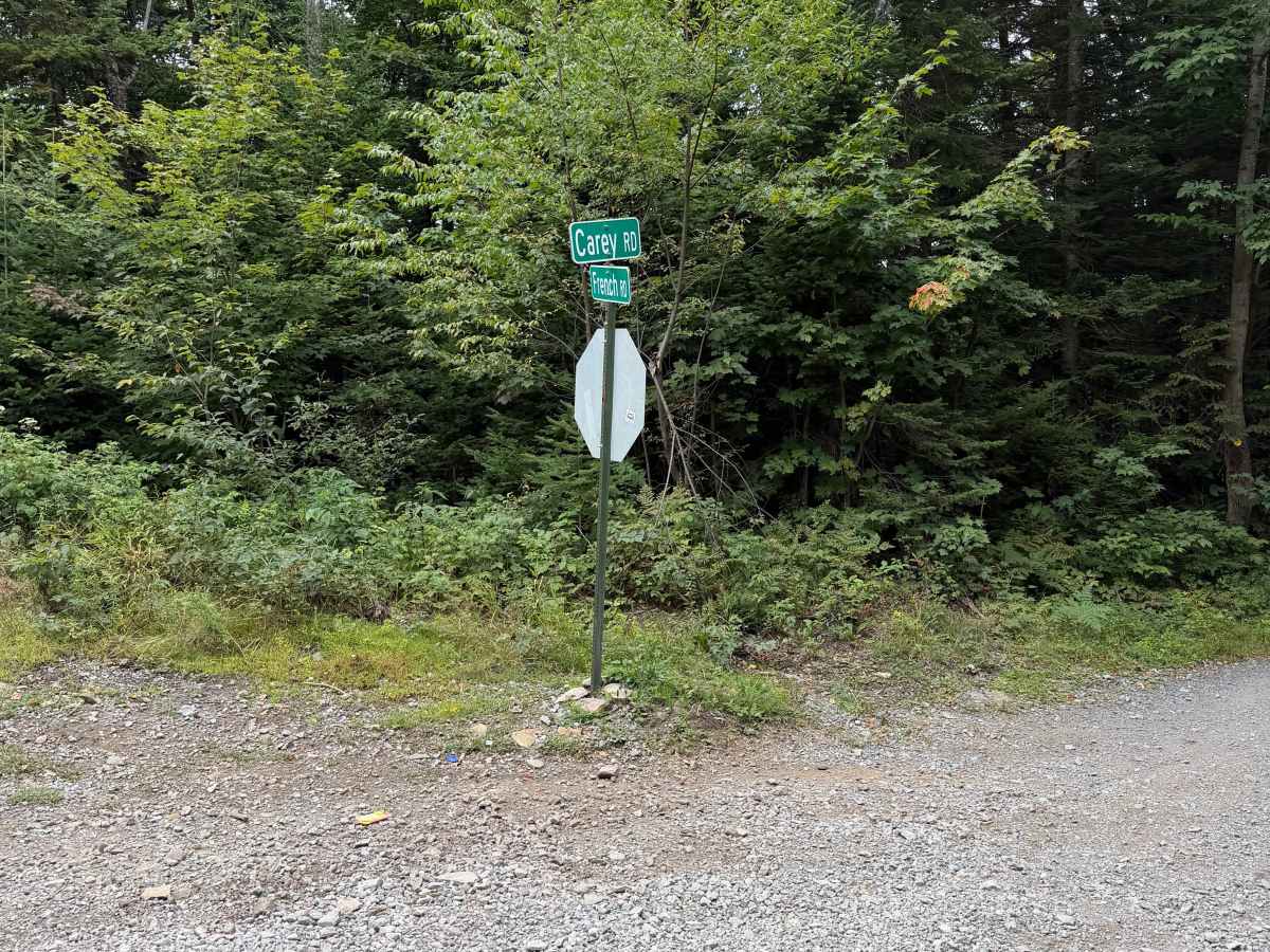 Carey Road trail photo