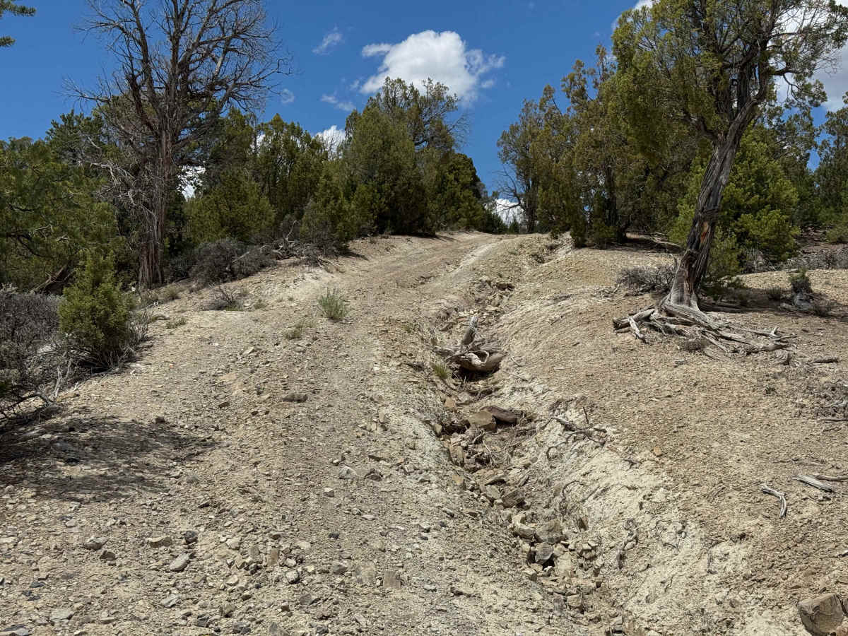 BLM 8461C photo 5