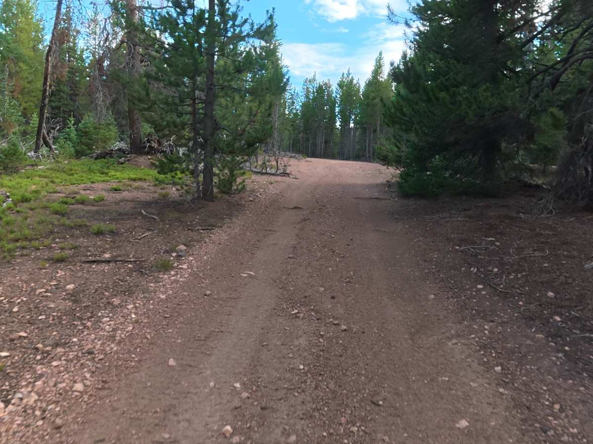 FS 157B trail photo