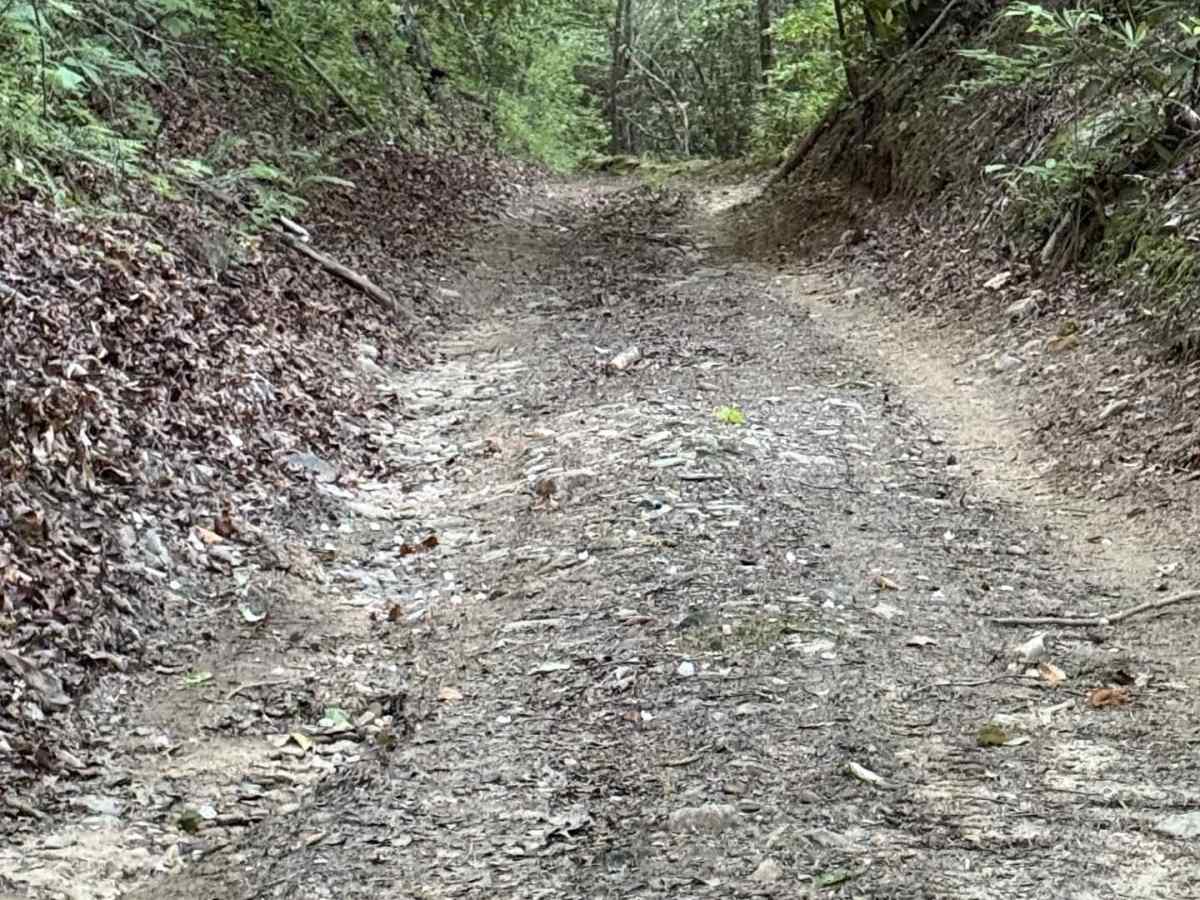 Tom Coward Gap - FS 439 trail photo