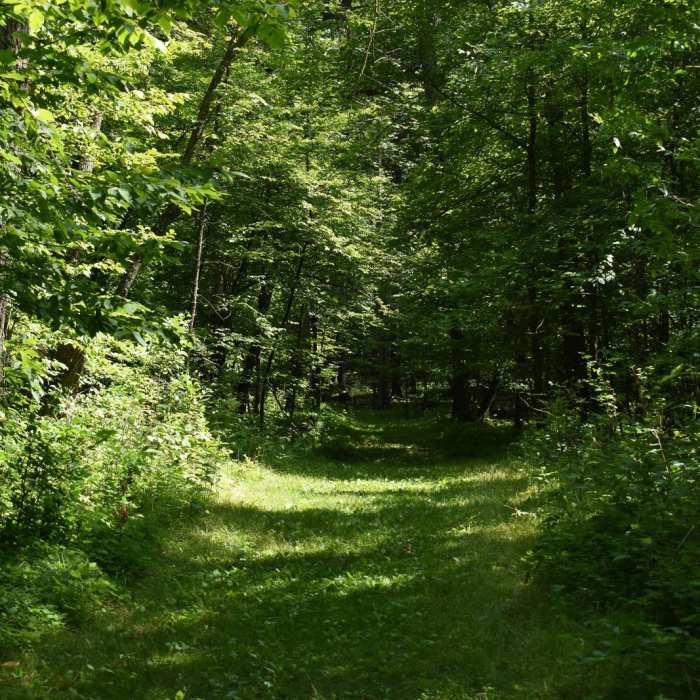 Near Hiking Club Route Near Hiking Club Route