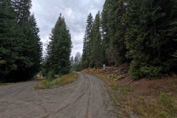 Flat Creek - FS 1095