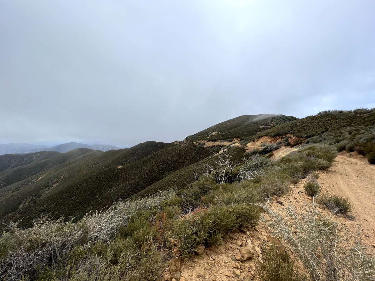 McPherson Peak - FS 32S13 trail photo