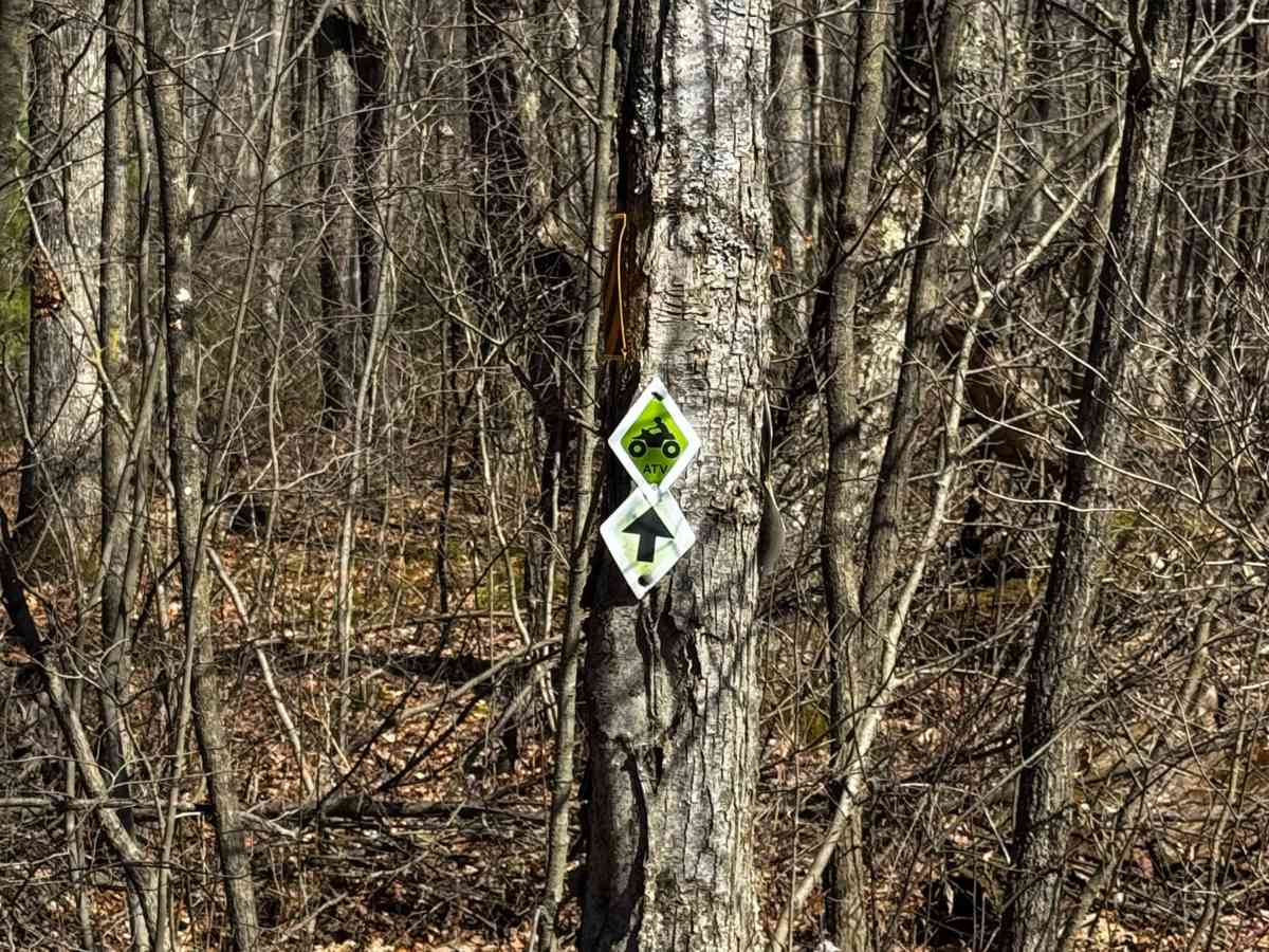 Rock Run Trail photo 2