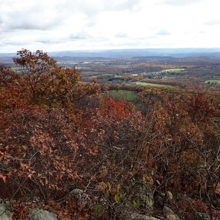 Near Appalachian Trail - Stokes S.F. North Near Appalachian Trail - Stokes S.F. North