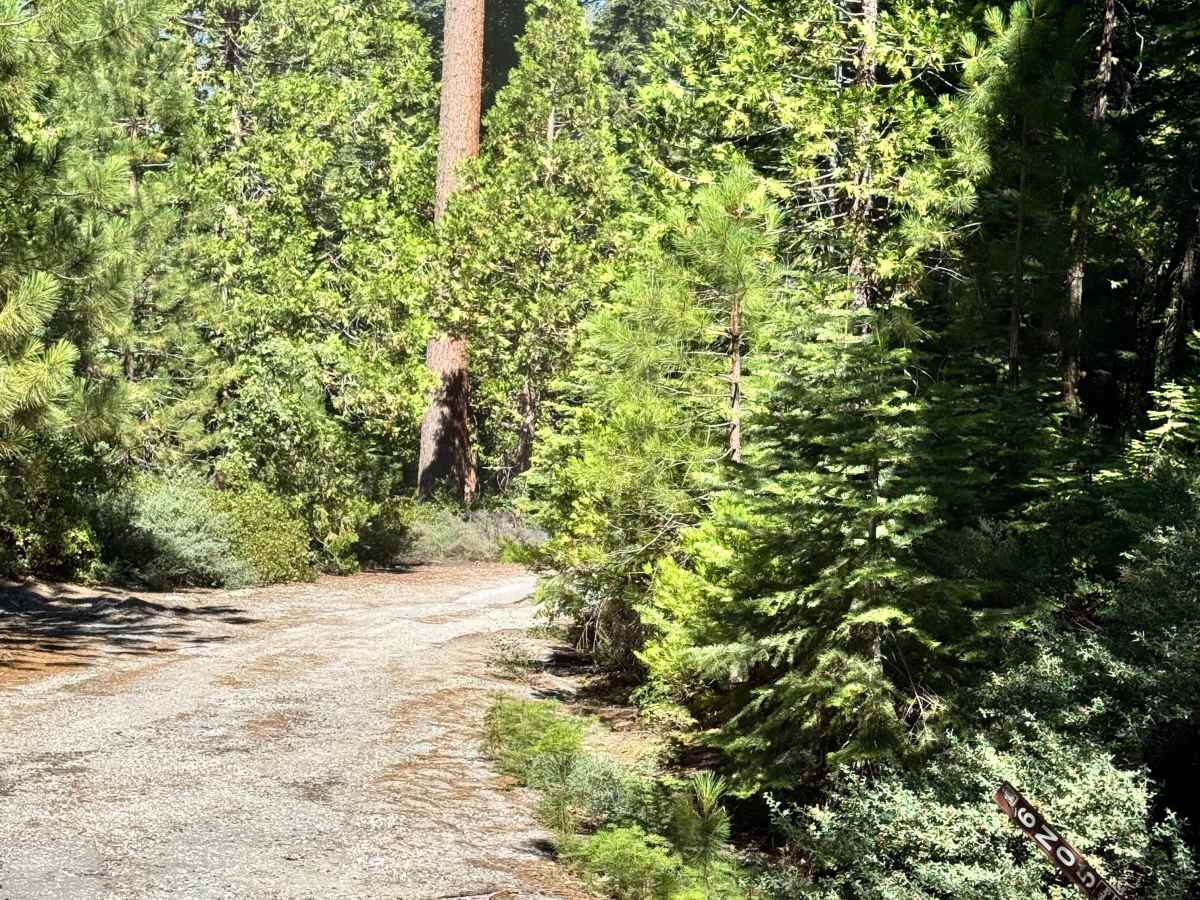 FS 6N05 trail photo