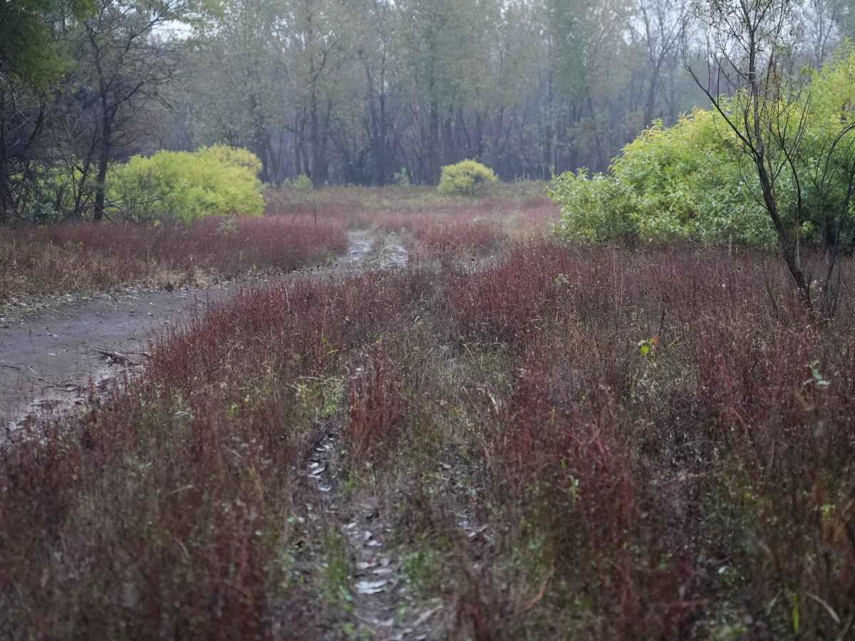 Otter Creek Inner Trail photo 3