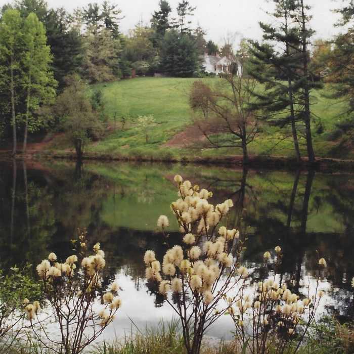 View of the Carl Sandburg Home. Near Glassy Mountain
