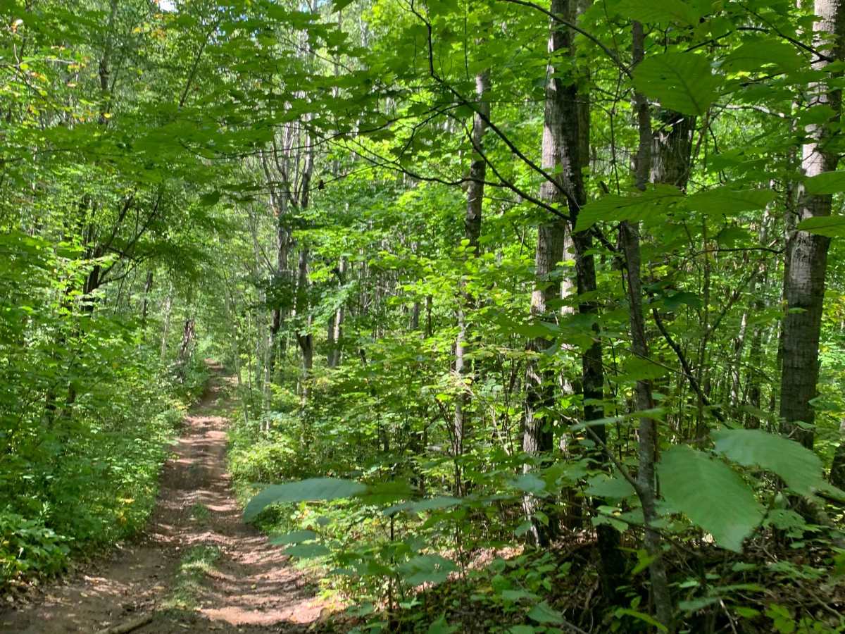 Berthiaume Trail photo 4