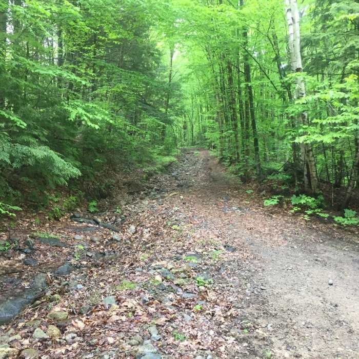 Near Peaked Hill Pond