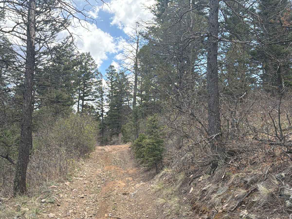 BLM 6055 photo 3