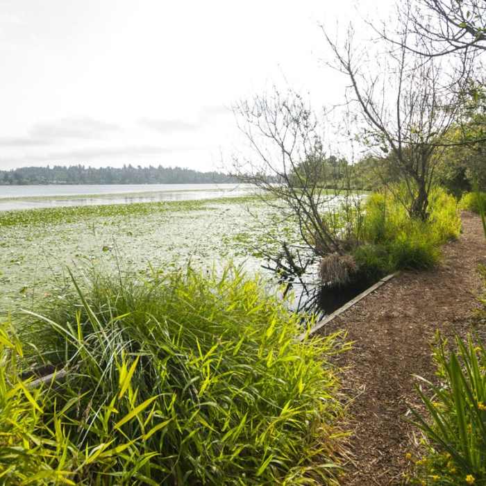 Near Arboretum Waterfront Trail